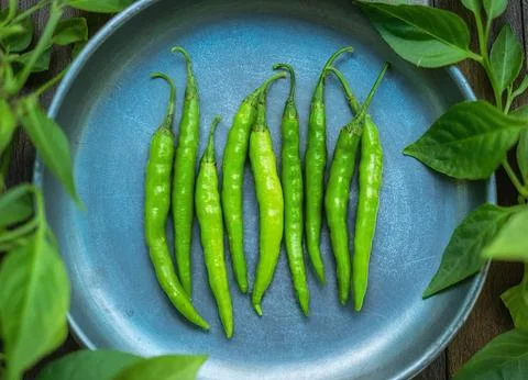 Green chilli on natural background Stock Photos