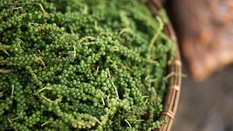 Green chilli or pepper in basket Stock Footage 120981680