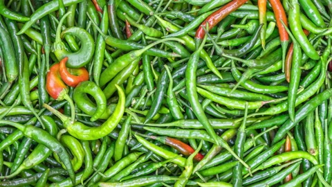 Green chilli pepper Video stock 135311900