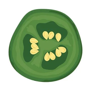 Green chilli pepper slice Stock Illustration