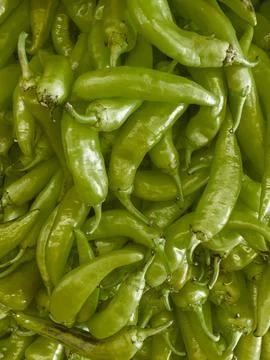 Green chilli peppers Stock Photos