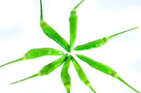 Green chilli Fotos de archivo
