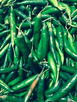 Green chilli Stock Photos