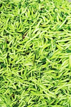 Green Chilli Stock Photos