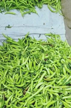 Green Chilli Stock Photos