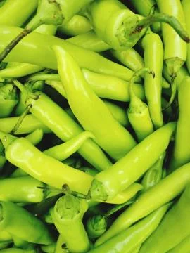 Green Chilli Stock Photos