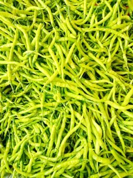 Green Chilli Stock Photos