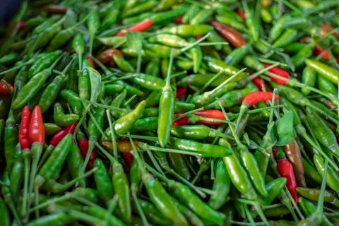 Green chilli Stock Photos