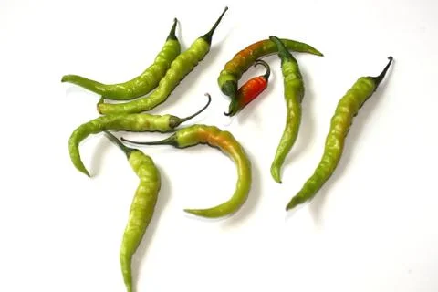 Green chilli Stock Photos