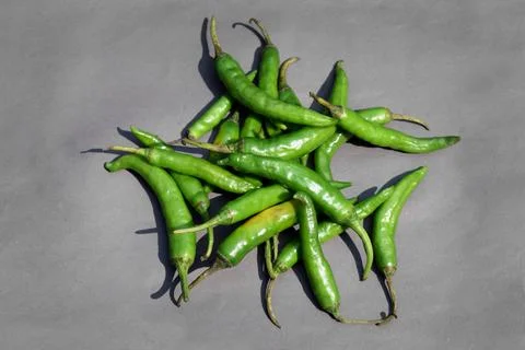 Green Chilli spice vegetables on gray background. Fotos Stock