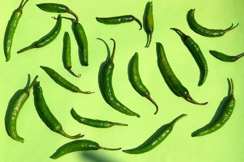 Green Chilli spice vegetables on green background Stock Photos