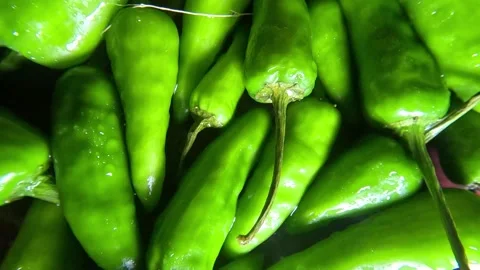 Green Chilly Close up Shot - Forwards Stock Footage 282044377