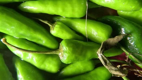 Green Chilly Close up Shot - Leftwards Video stock 282044194