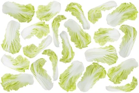 Green chinese cabbage as pattern, texture. Set of whole head, leaves from dif Stock Photos