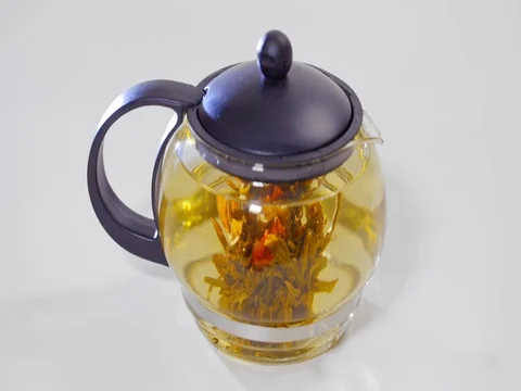 Green Chinese tea flower bud blooming in glass teapot Stock Footage 73954152