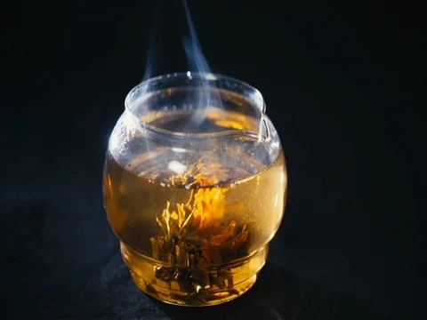 Green Chinese tea flower bud blooming in glass teapot Stock Footage 73962467