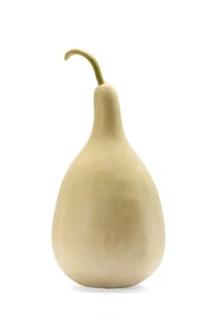 Green chinese winter melon Stock Photos