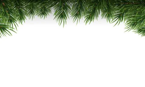 Green Christmas tree branches border on a white background. Vector Illustration. Stock Illustration