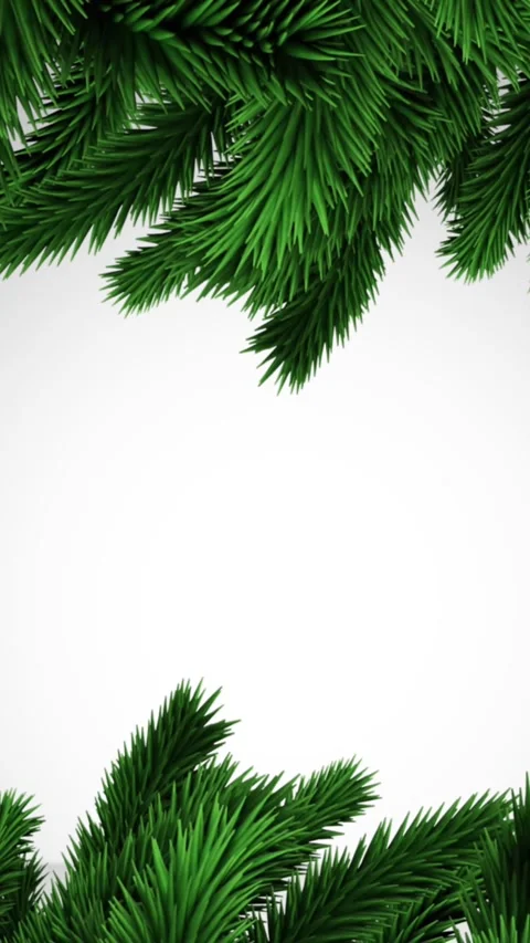 Green christmas tree branches with copy space on grey background Stock-Footage 319371718