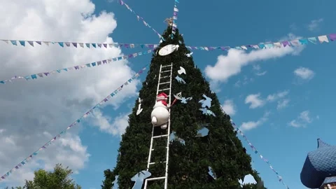 A green Christmas tree in the summer under a blue sky Stock Footage 316170841