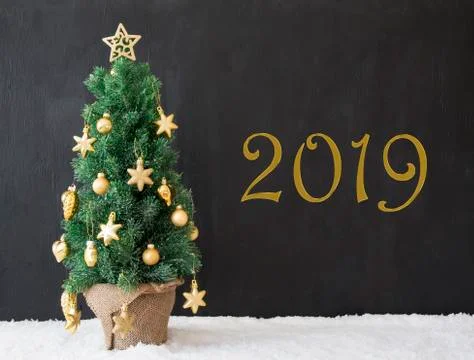 Green Christmas Tree, Text 2019, Black Concrete Background Stock Photos
