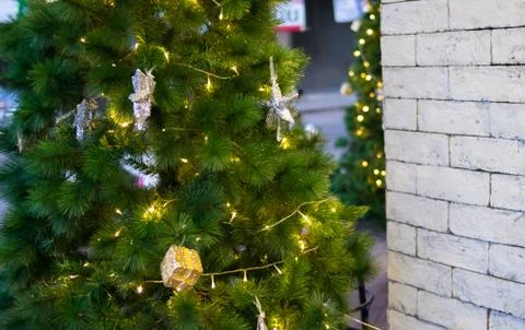 Green christmas tree with white brick wall Stock Photos