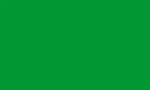 Green chroma key background. Vector illustration Illustrazione stock