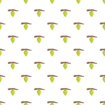 Green chrysalis developing on branch seamless pattern イラスト素材