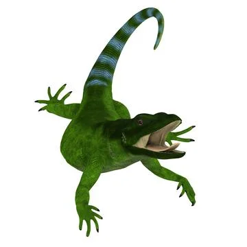 Green Chuckwalla Lizard Stock Illustration