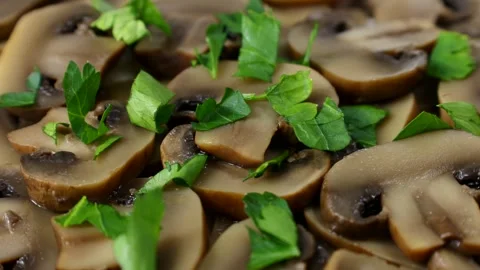Green cilantro leaves falling down on brown fried sliced champignon mushrooms Stock Footage 278401196