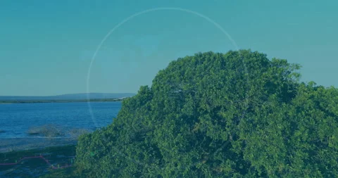 Green circle and financial data animation over lush coastal landscape Stock Footage 306191697