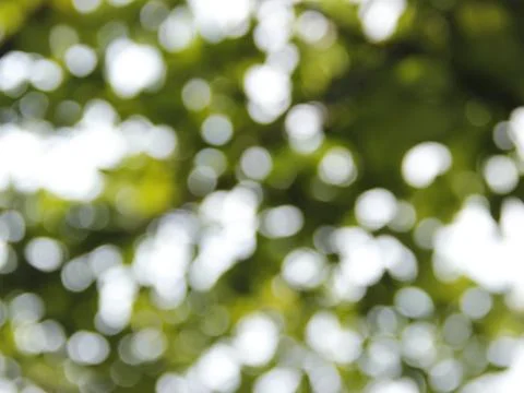Green circle blurring idea bokeh background Stock Photos