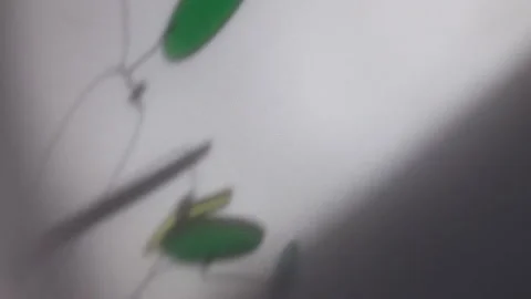 Green Circles Slow Motion Shape Elegance Stock Footage 304436564