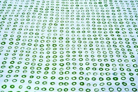 Green circles on white. Stock Photos