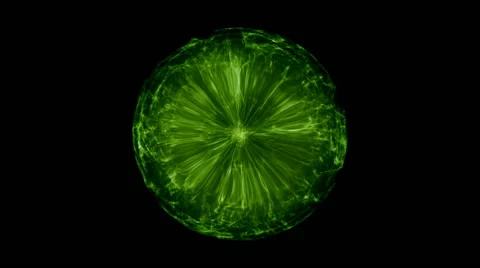 Green circular abstract 스톡 동영상 65833261