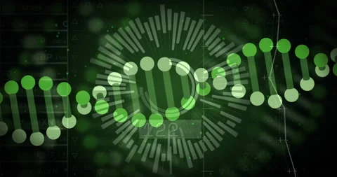 Green circular data visualization animation over financial data and currency Stock Footage 305020612