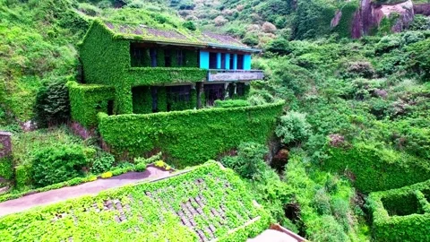The Green City: A Drone's Perspective of the Abandoned Fishing Village Stock Footage 237081862