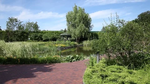 Green city park Video stock 77416399