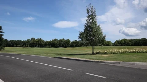 Green city park Stock Footage 77416585