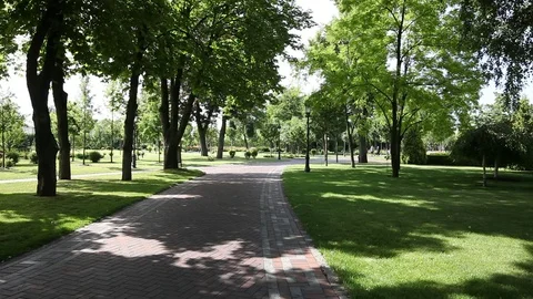 Green city park 스톡 동영상 77416588