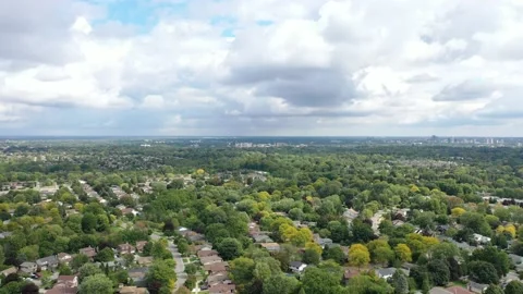 Green city from the sky Stock Footage 217786467