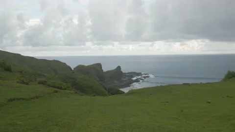 Green cliff edge surrounded by the sea, in Indonesia Stock Footage 221879885