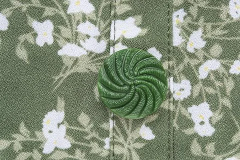 Green clothes button Stock Photos
