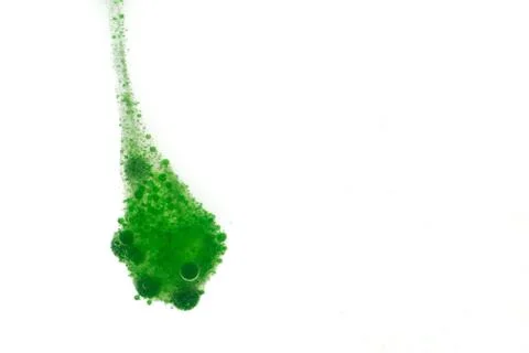 Green cloud of bubbles Stock Photos