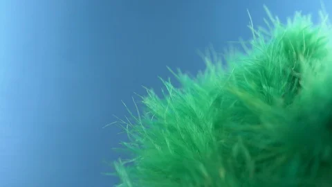 Green cloud of feathers. close-up macro. Selective focus, blurred focus Stock Footage 95317938