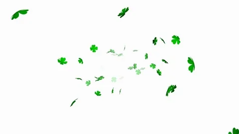 Green clover leaf (Shamrock Background) V2 - loop, alpha channels included Stock Footage 84395067