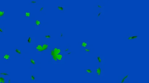 Green clover leaf (Shamrock Background) V1 - seamless loop, blue screen Stock Footage 84666759