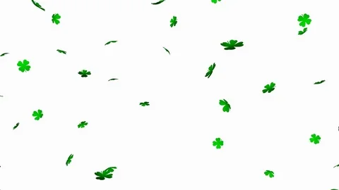Green clover leaf (Shamrock Background) V3 - loop, alpha channels included Stock Footage 84666776