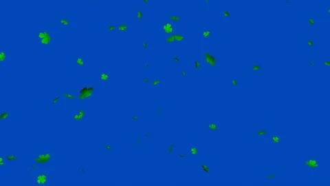 Green clover leaf (Shamrock Background) V4 - seamless loop, blue screen Stock Footage 84666829