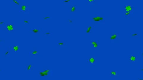 Green clover leaf (Shamrock Background) V3 - seamless loop, blue screen Video stock 84666856